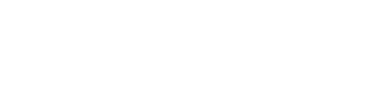 wisefox logo dark mode